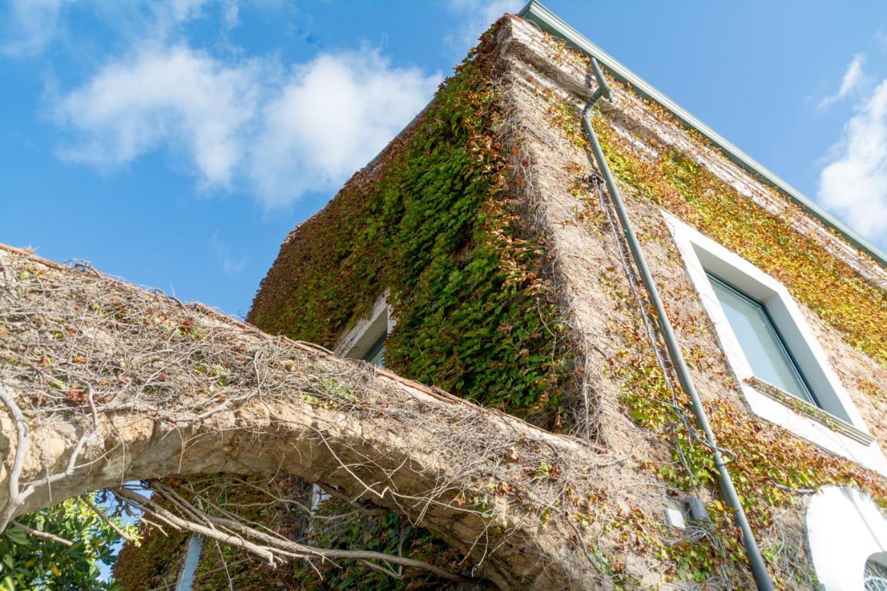 La Belle Vie B&B Santa Maria di Castellabate Ngoại thất bức ảnh