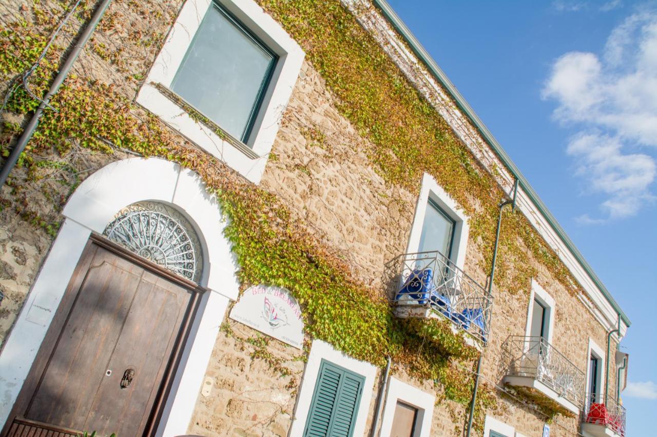 La Belle Vie B&B Santa Maria di Castellabate Ngoại thất bức ảnh